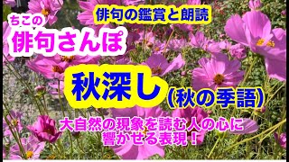 【中古】 俳句辞典鑑賞/おうふう/松尾靖秋 中古】 俳句辞典鑑賞/おうふう/松尾靖秋 中古】 俳句辞典鑑賞