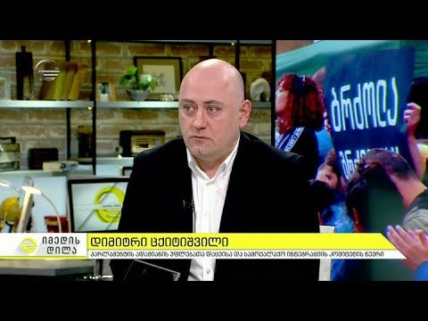 \"თეთრი ხმაურის\" მიერ ორგანიზებული აქცია რუსთაველზე - დიმიტრი ცქიტიშვილის შეფასებები