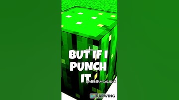 Minecraft Logic Makes No Sense! 🤔 PT. 20 #shorts