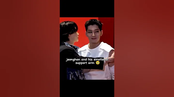 Wonwoo is jeonghans best emotional support🥹😭#jeonghan#wonwoo#seventeen#carat#shorts#fyp#svt#viral#dk