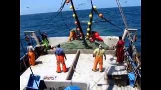 PESCA DE MERLUZA EN PERÚ