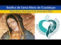 Misa en vivo Basílica de Guadalupe, México. Domingo 6/diciembre/2020 9:00 hrs.