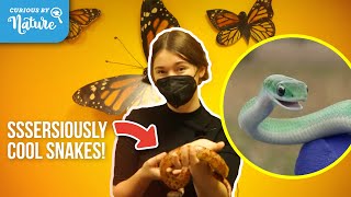 All About Snake Body Parts (Do Snakes Have Bones)