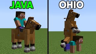 minecraft Java vs Ohio