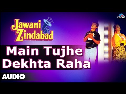Jawani Zindabad : Main Tujhe Dekhta Raha Full Audio Song | Aamir Khan, Farah Khan |
