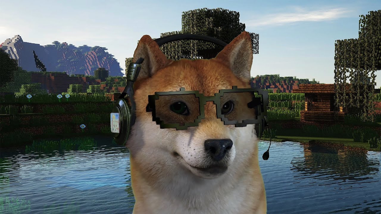 стример собака. собака стримера мирвены. стример собака. канал доги. пёс стример майнкрафт.
