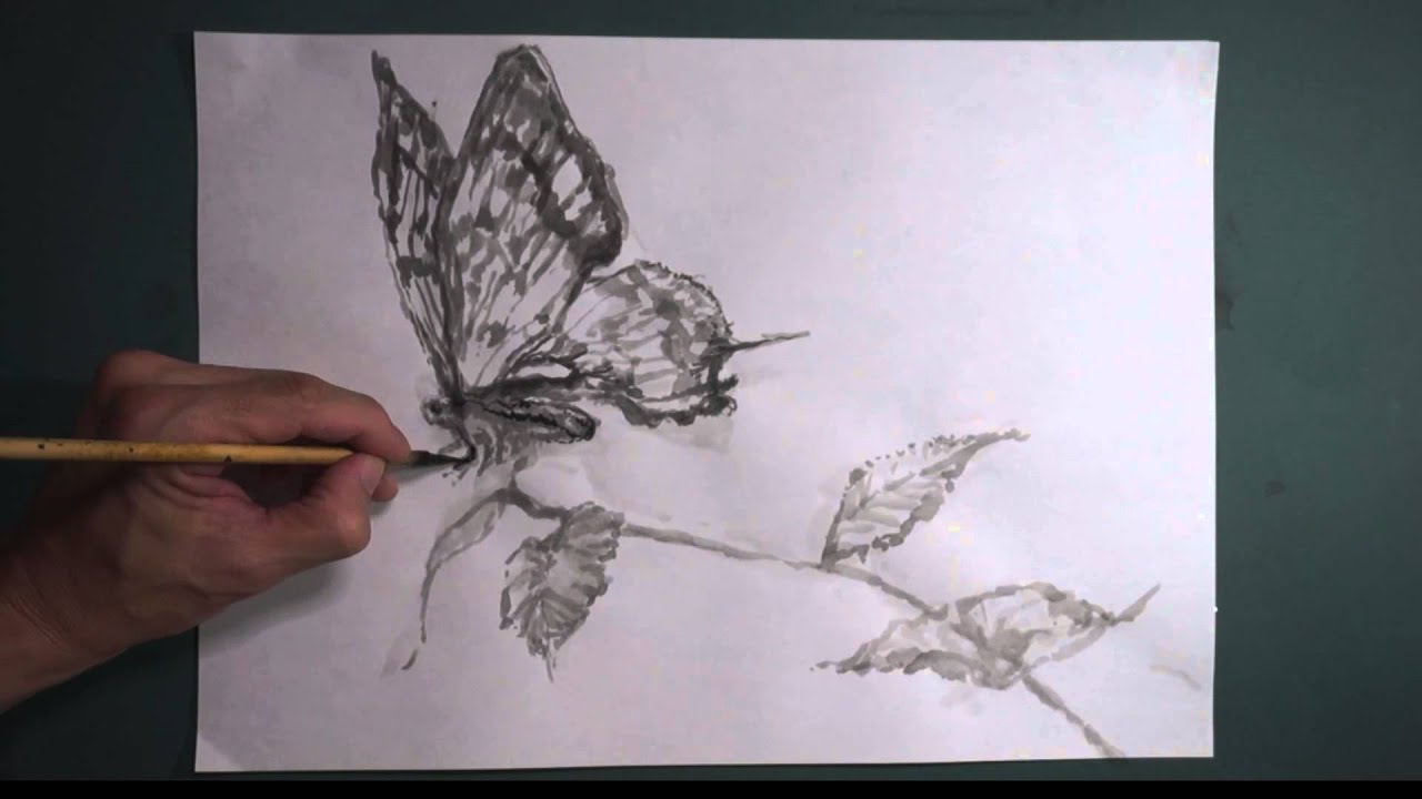 How To Draw 描き方 アゲハチョウ Swallowtail Butterfly を墨でデッサン 8倍速 Youtube