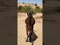 'Donkey real Bonding' #ytshorts #trending #animals #viral