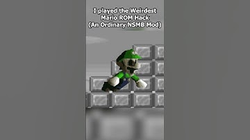 I played the Weirdest Mario Bros Mod (An Ordinary NSMB Mod)