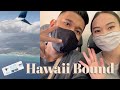 Traveling to Hawaii / First Full Day in Waikiki | Vlog