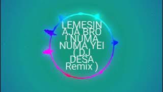 Lemesin aja bro ! numa numa DJ desa remix