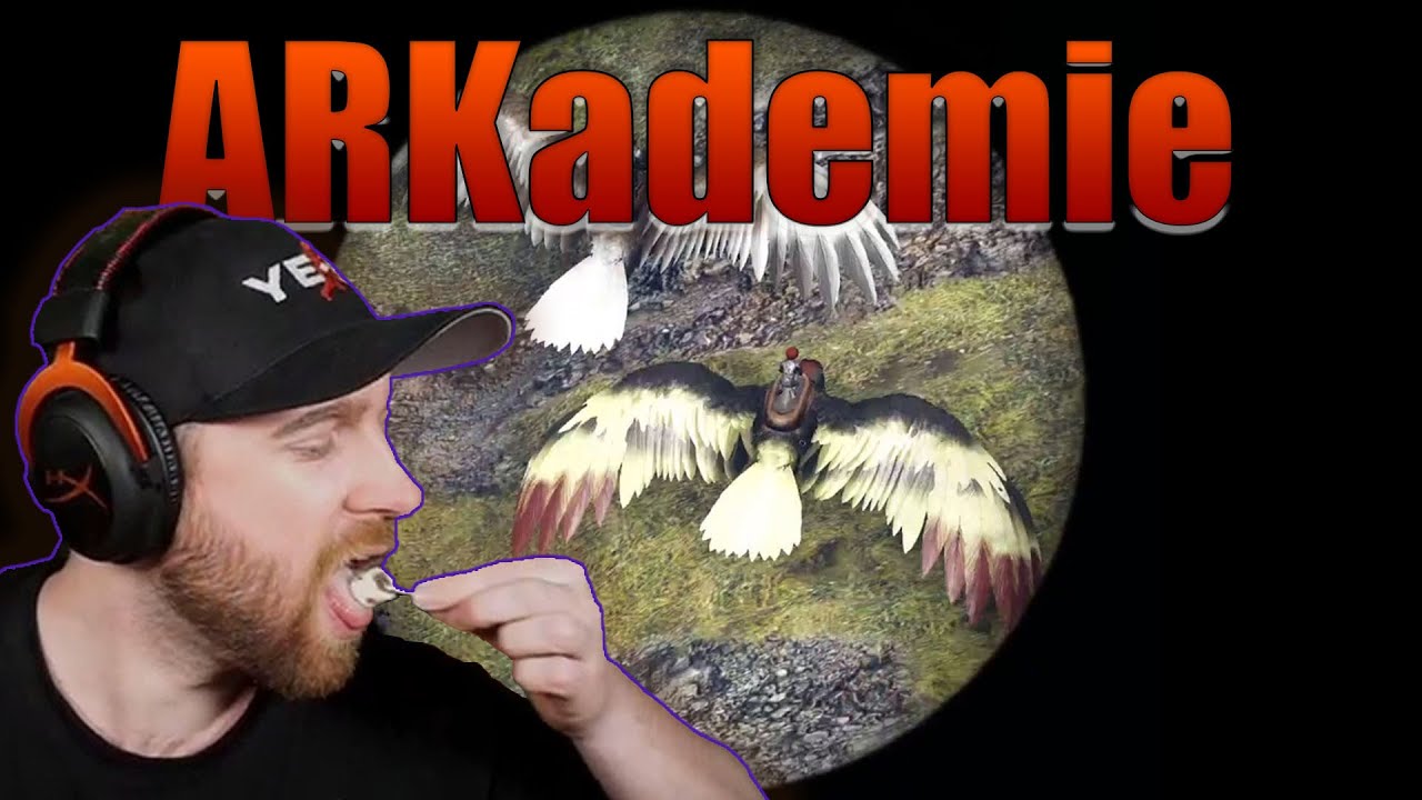 Wir haben endlich STROM | ARKademie #9