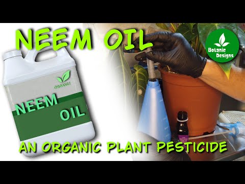 Video: Gebruik van neemolie: gebruik van neemolie-insecticide in de tuin