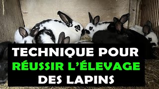 COMMENT ÉLEVER N'IMPORTE QUELLE RACE DE LAPIN