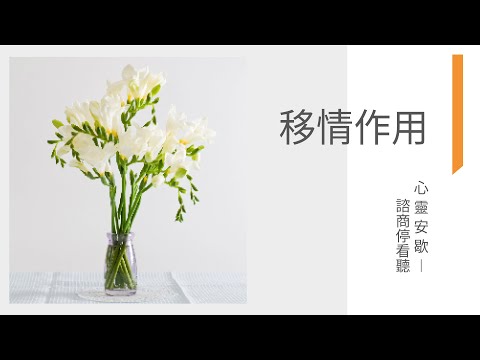 《心靈安歇》諮商停看聽 EP6 移情作用