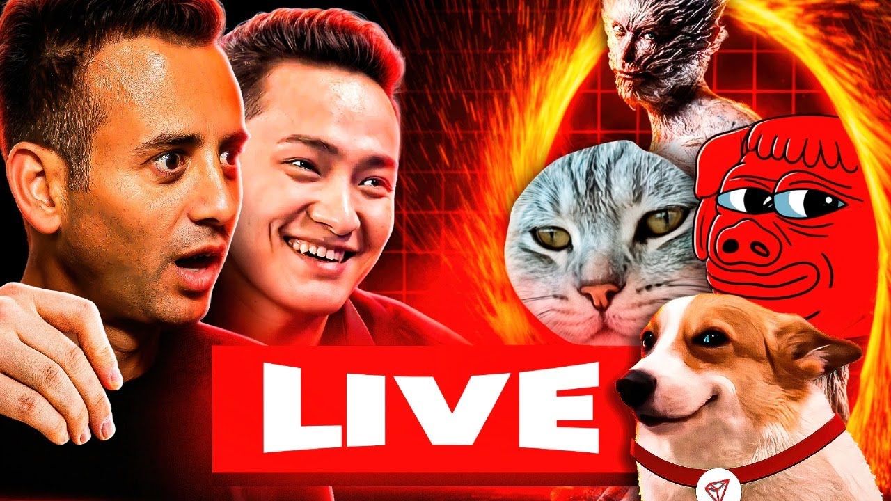 The 10 BIGGEST Meme Coins On TRON! [JUSTIN SUN LIVE INTERVIEW]