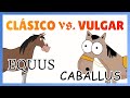 VOCABULARIO del latín CLÁSICO y VULGAR: diferencias