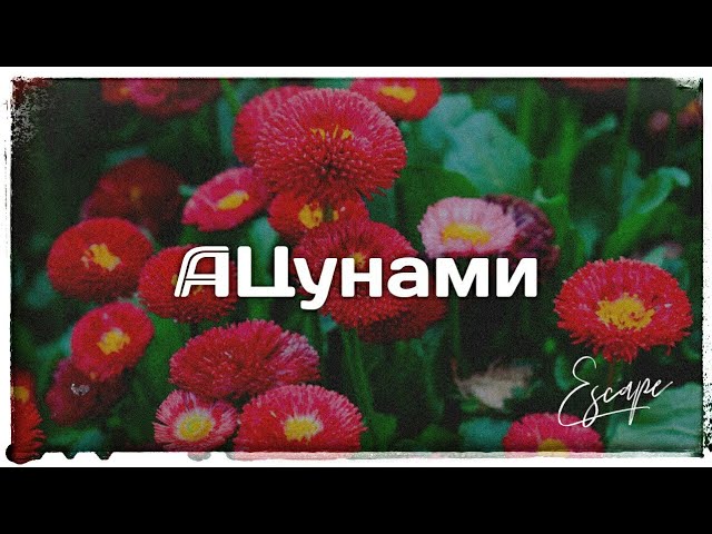 Escape - Цунами (Original Mix)[Bass Boosted] class=