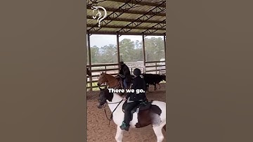 Working Through Situational Resistance With Your Horse! | The Horse Guru-Michael Gascon