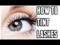 How to tint eyelashes at home   carly musleh