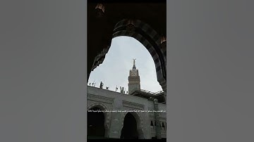 ‏ تلاوة للشيخ بدر التركي ‏سورة الأحزاب من 23 إلى 24 ￼