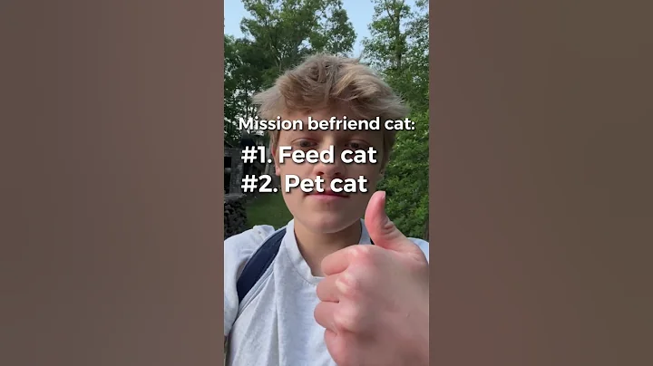 I tried to befriend a stray cat. #shorts