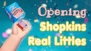 Real Littles Shopkins Opening and Review