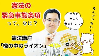 1分半でわかる緊急事態条項〜檻の中のライオン憲法講座