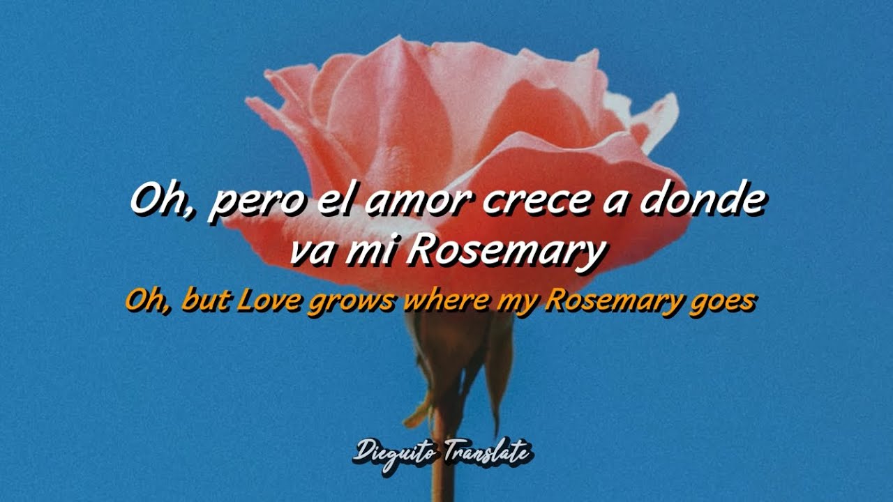 Edison Lighthouse Love Grows (Where My Rosemary Goes) (Sub. Español / Lyrics) YouTube