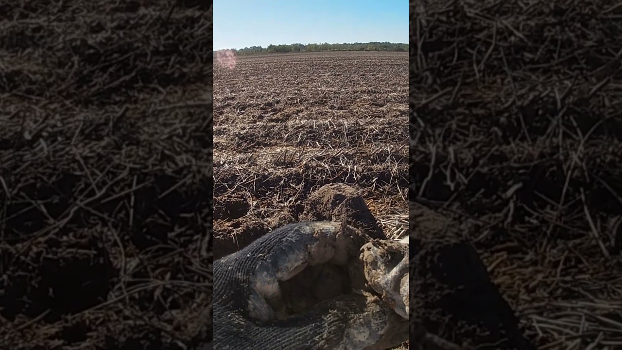 Union Civil War Relic found with a Bounty Hunter Metal Detector 