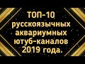 ТОП-10 русскоязычных аквариумных ютуб-каналов 2019 года.