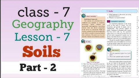 Class 7 | Geography | Lesson 7 | Soils | Explanation ( Part - 2 ) | Mh Board.