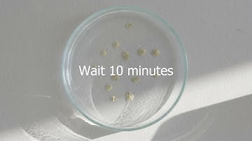 Aggregate stability test with Petri dish