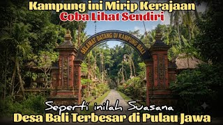 Gak Nyangka Ada Desa Seperti ini, Mengunjungi Desa Bali Terbesar di Pulau Jawa Desa Wisata Toleransi