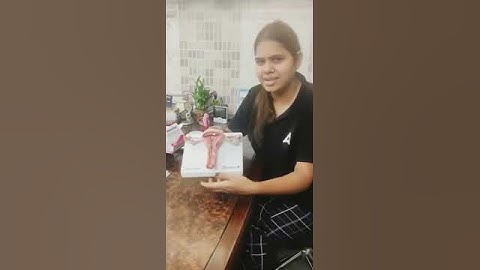 Female reproductive system #shorts #ytshorts