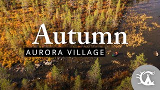 Autumn at Aurora Village (Ivalo Lapland) 4K VIDEO