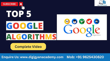 Top 5 Google Algorithms Related to SEO | Google Panda | Penguin | Humming Bird | Rank Brain