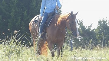 Dualichious - trail riding! - ValleyViewRanch.net
