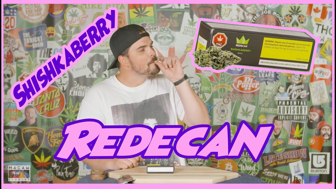 SHISHKABERRY by Redecan  - LEGAL WEED REVIEWS with Mike Rita