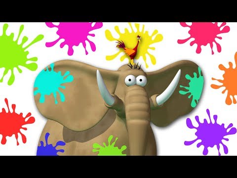 colorful-elephant---funny-anim