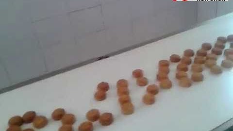 ZP320  Moon cake automatic feeding and package machine line