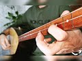 Gönül Dağı Akustik Bağlama TERS TELLEME Erkansungurofficial Bossgt100 Bağlama Tonu