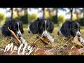 LA HISTORIA REAL DE MAFFY. No compres: ADOPTA // Makeupmasde40