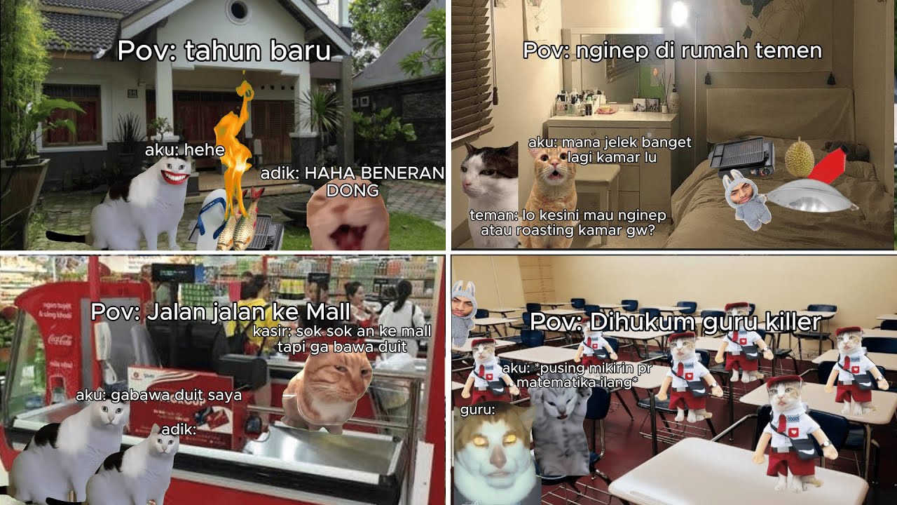 Kompilasi meme kucing 1 jam | Meme Kucing | #pov #meme #kucing #cat