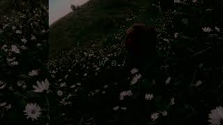 картинка: лампабикт — всем одинаково холодно (FULL ALBUM) // slowed + reverb