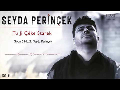 Seyda Perinçek - TU JÎ ÇÊKE STAREK