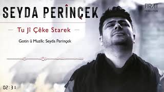 Seyda Perinçek - TU JÎ ÇÊKE STAREK Resimi