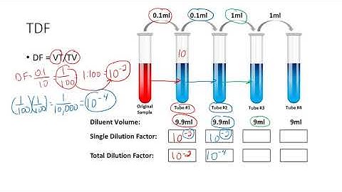 Determining the Total Dilution Factor