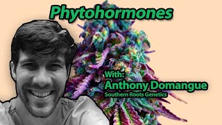 Phytohormones with Anthony Domangue