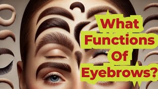 Why Do We Have Eyebrows And What Are Their Functions ?